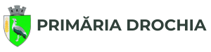 Website Logo