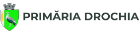 Website Logo